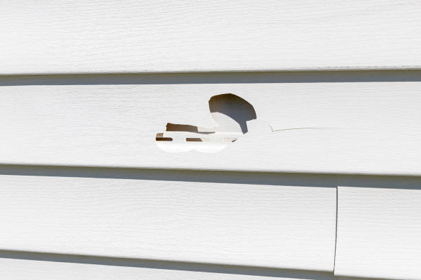 How To Choose The Right Materials for Your Siding Installation in 'Rotonda, FL